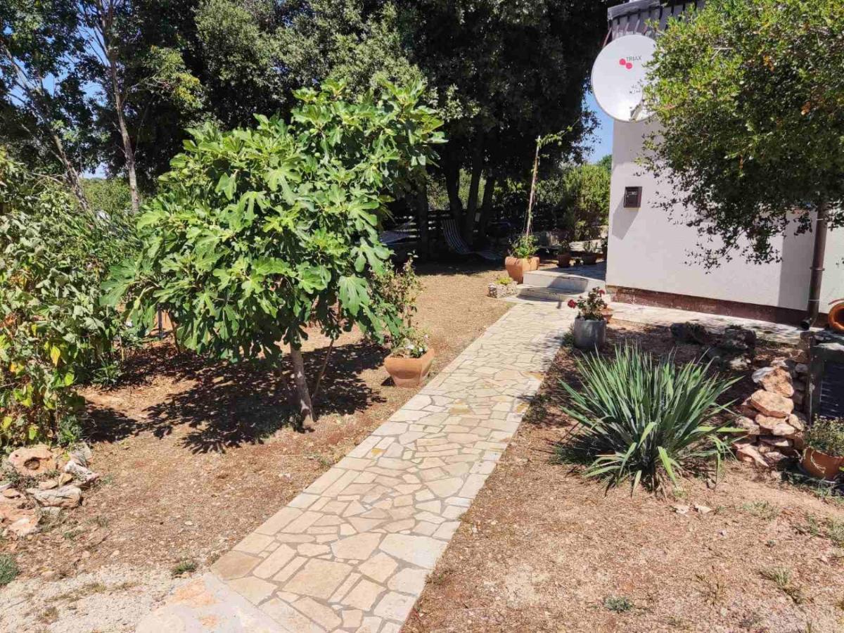 Viva 2 Rovinj Apartment Exterior foto